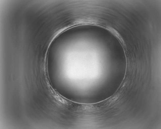 X0000052581052200507081723