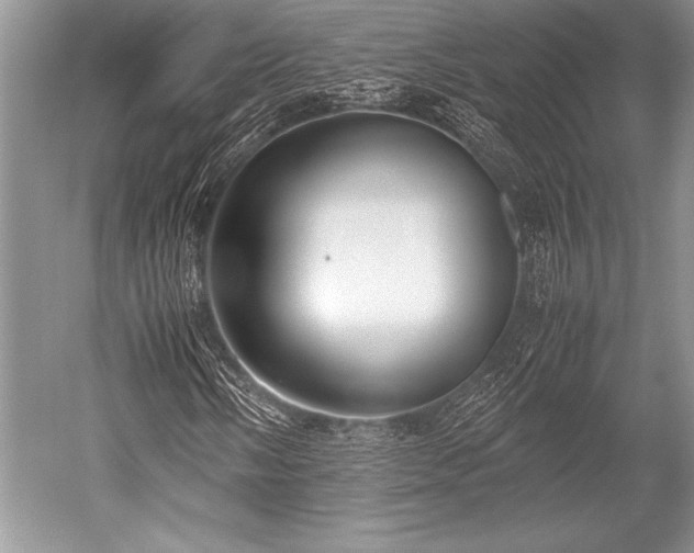 X0000052581058200507081722