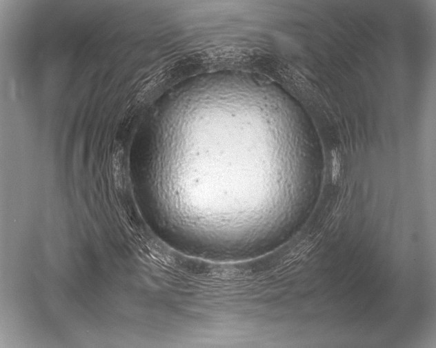 X0000052581059200507081722