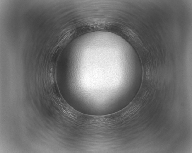 X0000052581060200507081722
