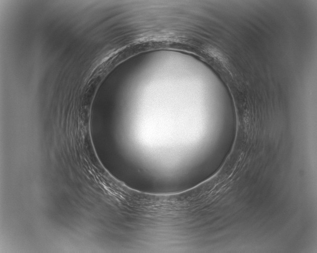X0000052581064200507081722