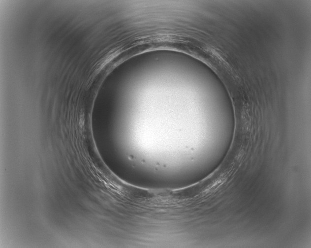 X0000052581065200507081722