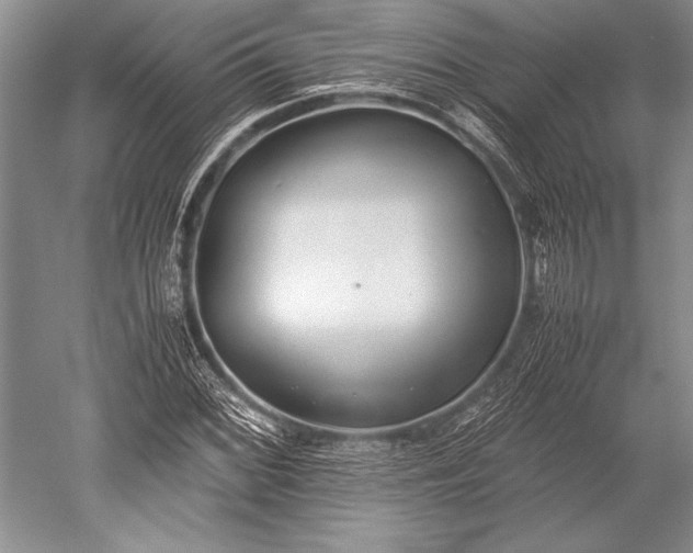 X0000052581068200507081722