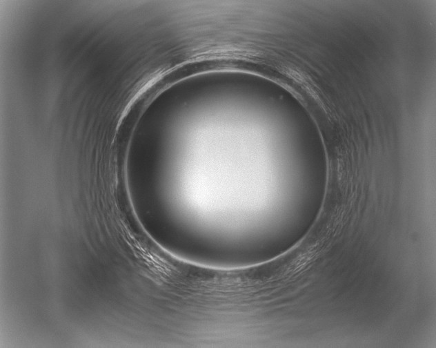 X0000052581069200507081722