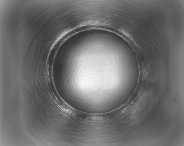 X0000052581070200507081722