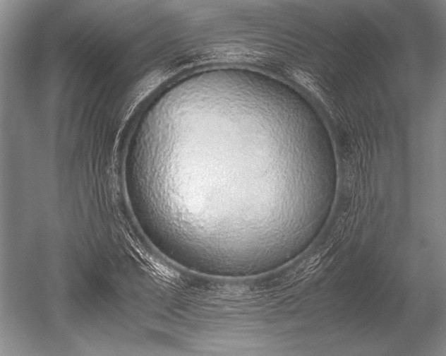 X0000052581071200507081722