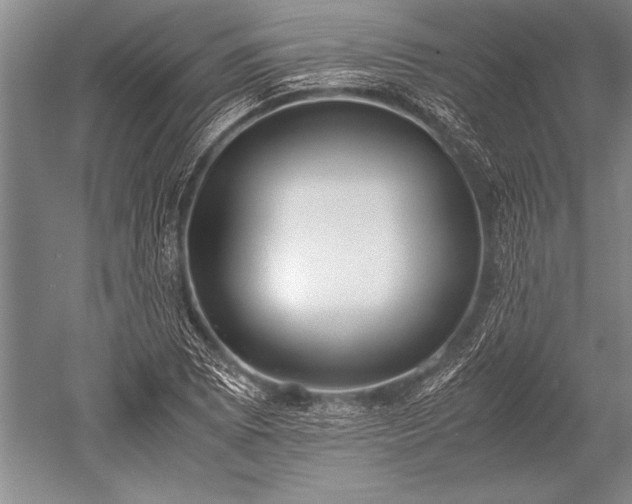 X0000052581073200507081722