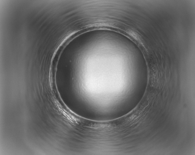 X0000052581076200507081722