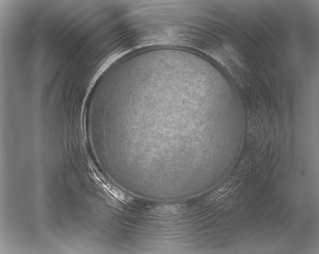 X0000052581078200507081722