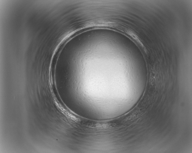 X0000052581080200507081722