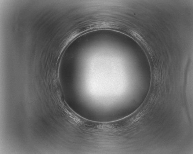 X0000052581089200507081721
