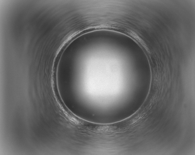 X0000052581093200507081721