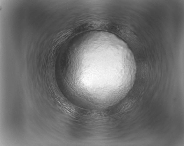 X0000052581105200507081720