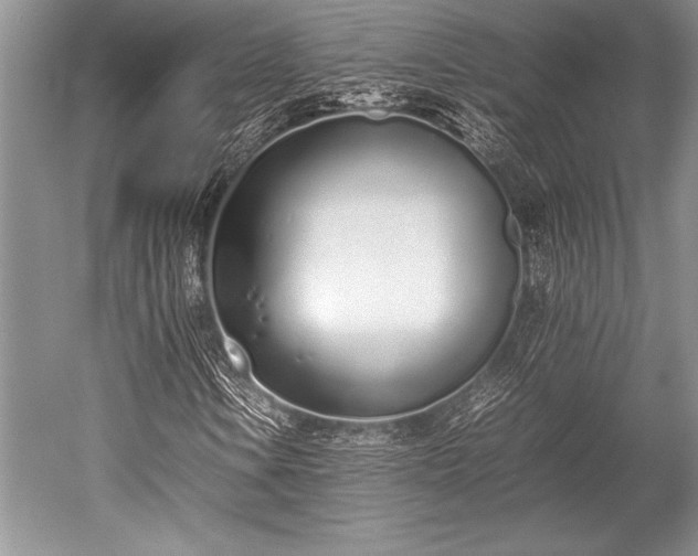 X0000052581106200507081720