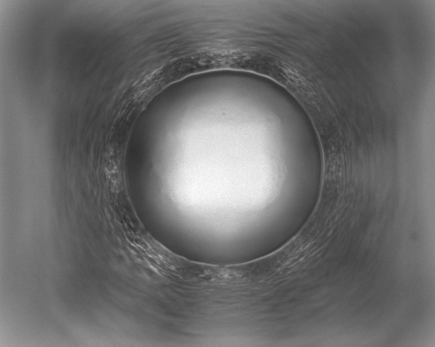 X0000052581109200507081720