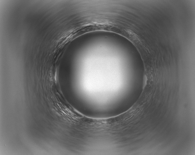 X0000052581110200507081720