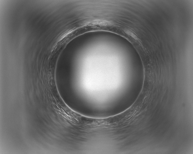X0000052581112200507081720