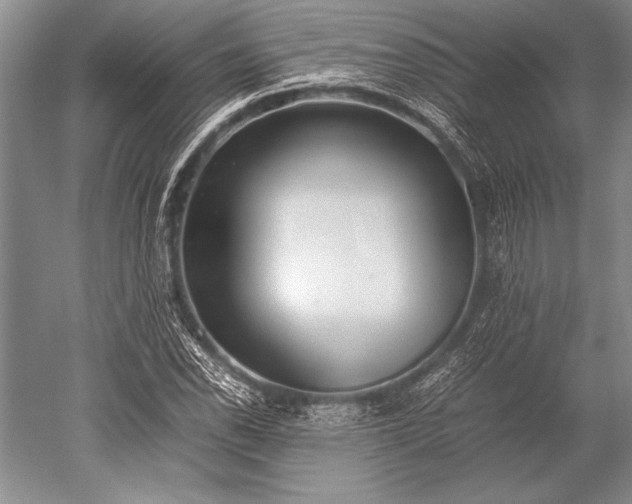 X0000052581118200507081721