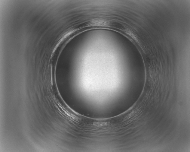 X0000052581123200507081721