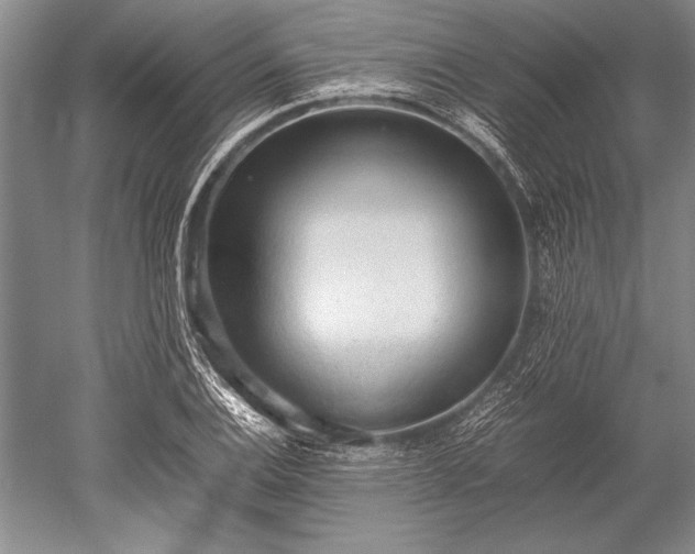 X0000052581124200507081721