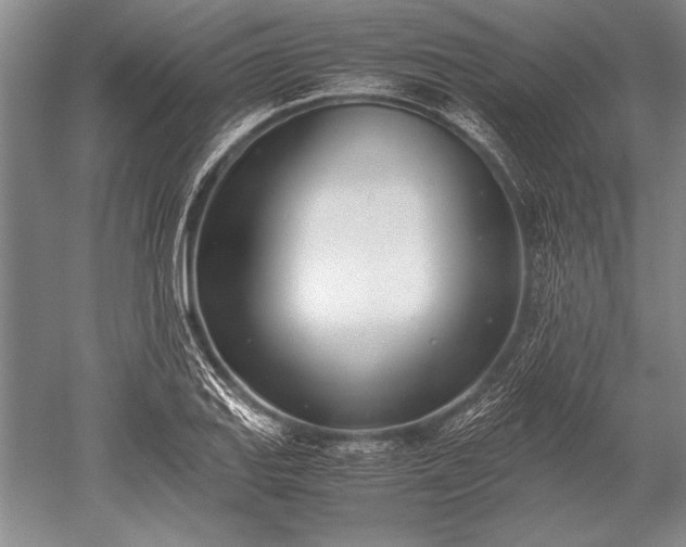 X0000052581127200507081721