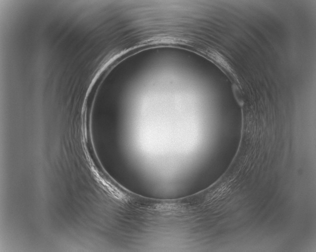 X0000052581132200507081721