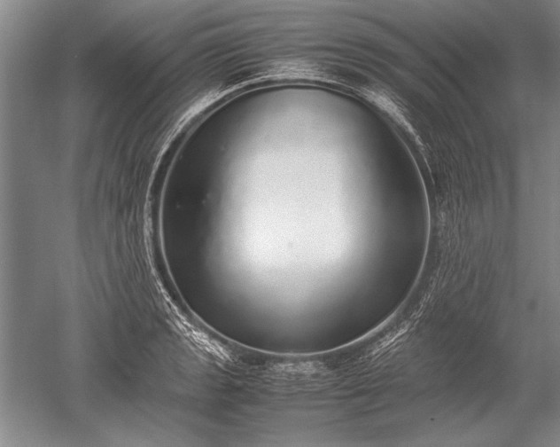 X0000052581133200507081721