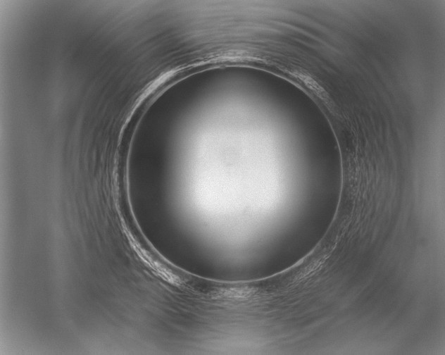 X0000052581134200507081721