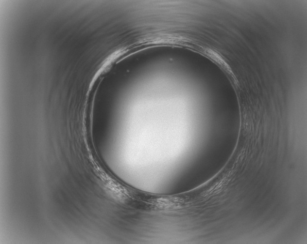 X0000052581138200507081721