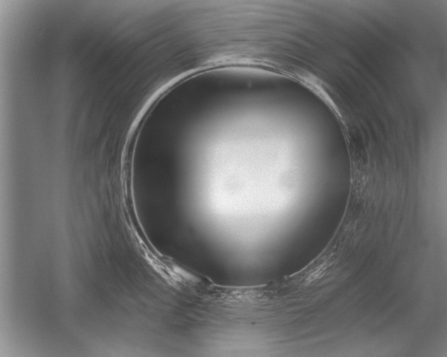 X0000052581148200507081721