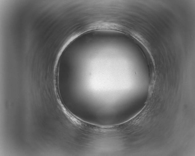 X0000052581152200507081721