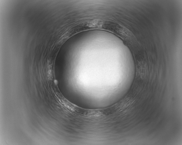 X0000052581154200507081720