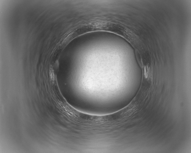 X0000052581155200507081720