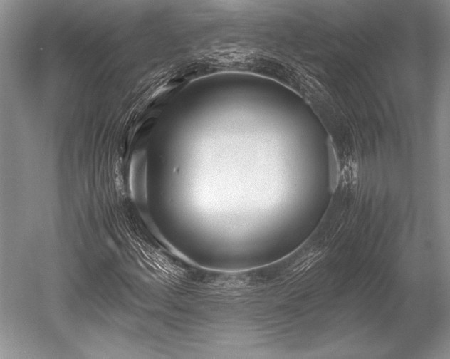 X0000052581156200507081720