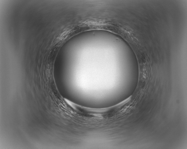 X0000052581157200507081720