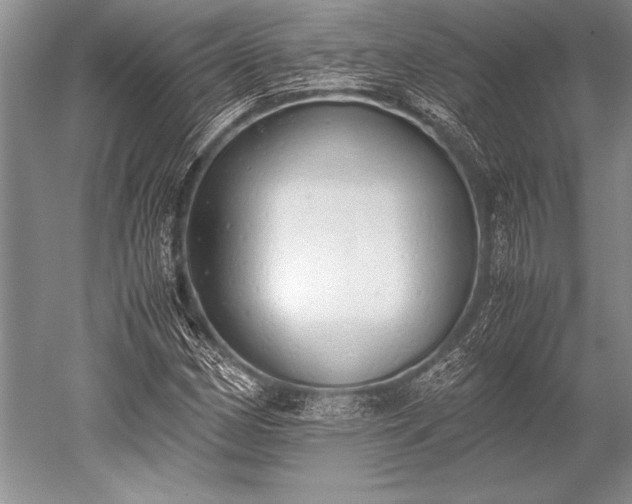 X0000052581162200507081720