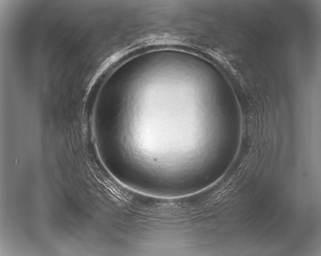 X0000052581167200507081720