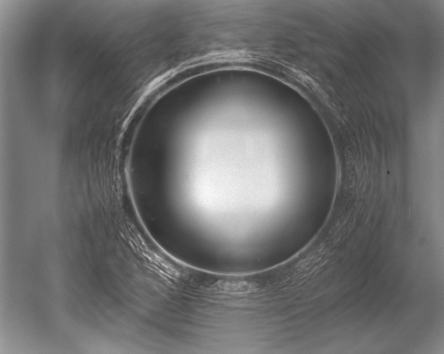 X0000052581168200507081720