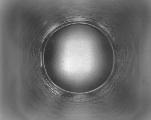 X0000052581171200507081720