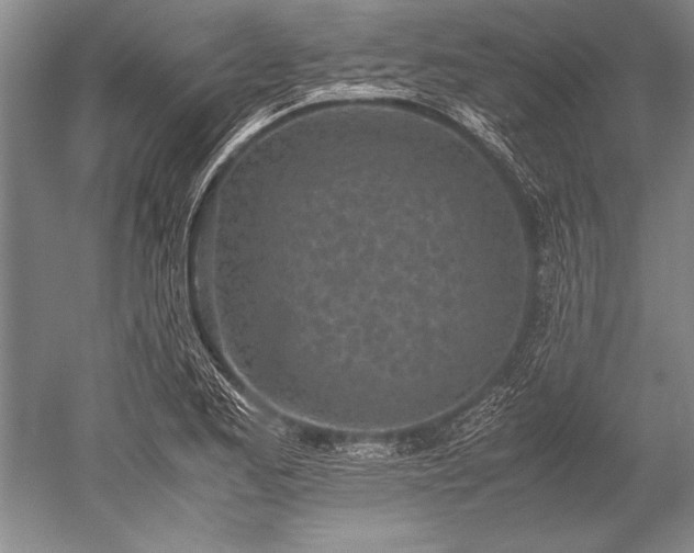 X0000052581173200507081720