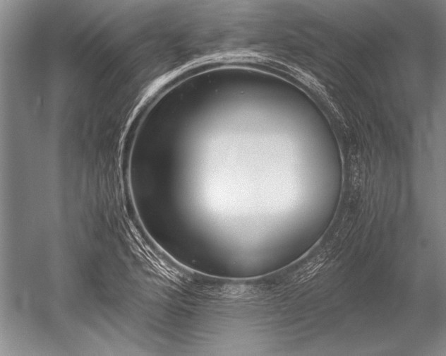 X0000052581176200507081720
