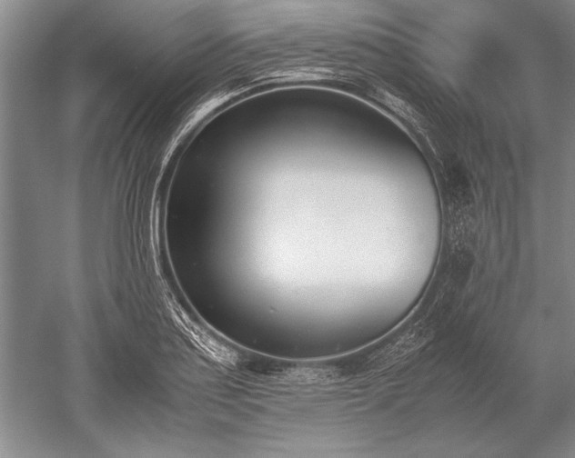 X0000052581179200507081720