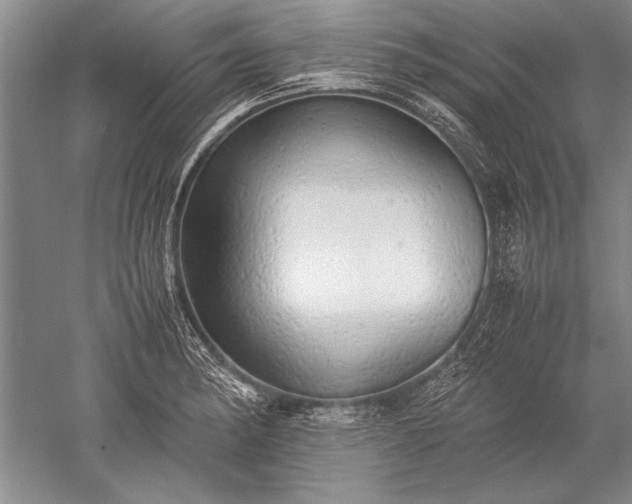 X0000052581182200507081720