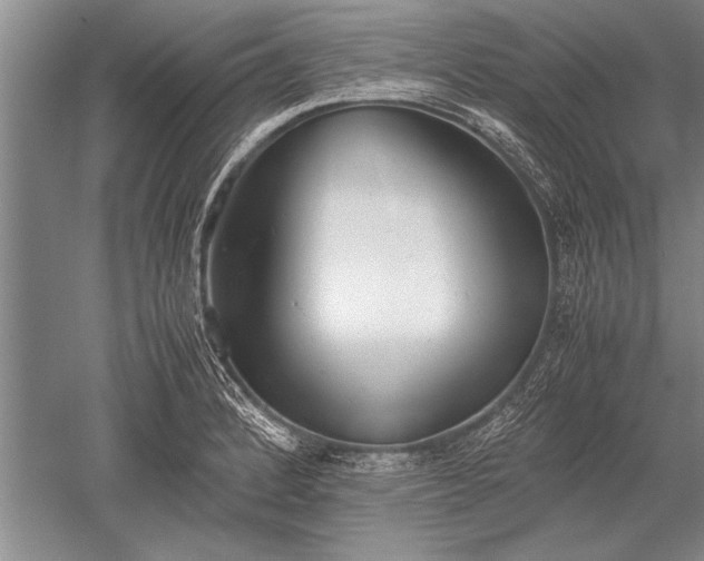 X0000052581184200507081720