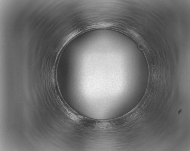 X0000052581186200507081720