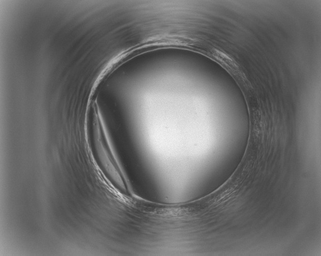 X0000052581188200507081720