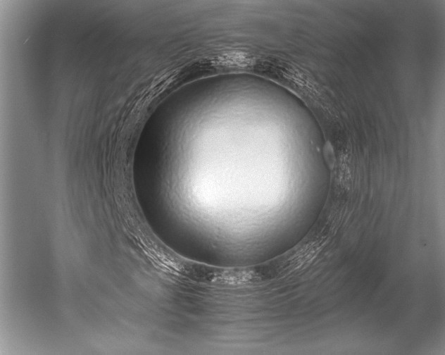 X0000052581201200507081719