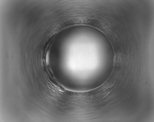 X0000052581202200507081719