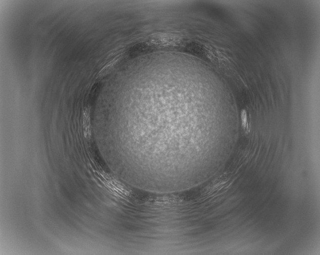 X0000052581203200507081719