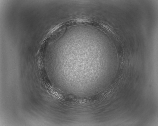X0000052581207200507081719